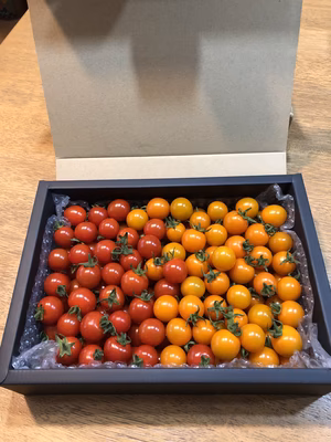 みんなの投稿の画像