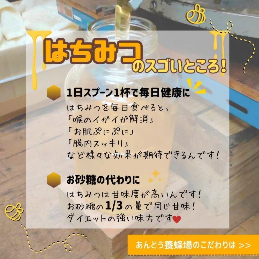 添加物なし】はちみつ 600g×2瓶 蜂蜜 ハチミツ セイヨウミツバチ｜蜂蜜