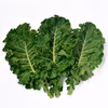 ケール（葉質が柔らかいカーリータイプ）カールドモンロー【静岡県磐田市産】