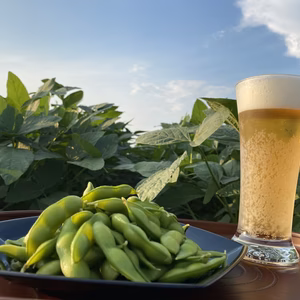 今が旬❗️ 期間限定　山形県鶴岡産　だだちゃ豆