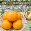 【訳あり！お買い得！】福岡県産　富有柿の訳ありご自宅用　12玉～14玉