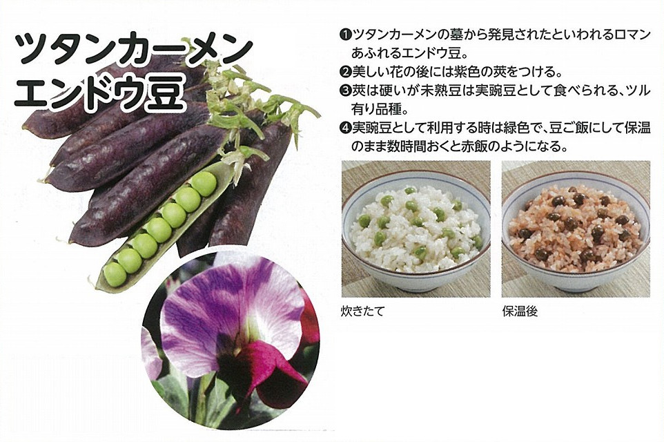 常温便出荷 うすいえんどうとツタンカーメンの詰め合わせ 農家漁師から産地直送の通販 ポケットマルシェ