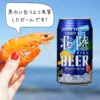 GoTo！クラフトビールで金沢旅行気分♪金沢駅限定など１２缶セット