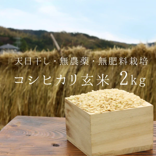 【無農薬・無肥料　生命力溢れる】コシヒカリ玄米2kg