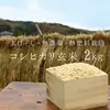 【無農薬・無肥料　生命力溢れる】コシヒカリ玄米2kg