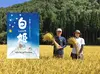 世界最高米⭐︎原料米認定農家 白川郷産こしひかり【白姫】