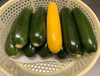 ズッキーニ10本セット‼️緑と黄色❗️