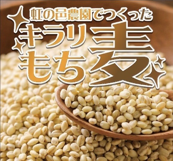 お得!!まとめ買い】無農薬 もち麦(キラリモチ)【8kg/10kg】｜雑穀