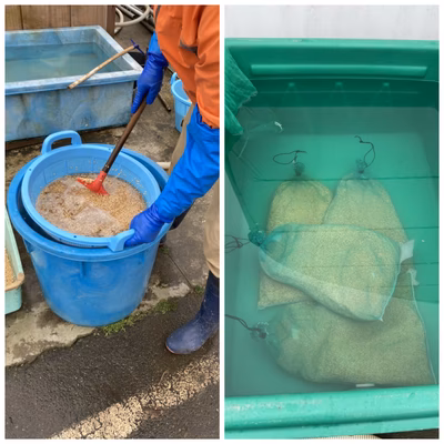 みんなの投稿の画像