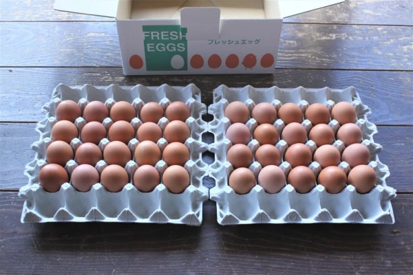 河内山養鶏場の卵（Mサイズ4０個）