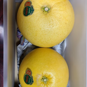 熊本県八代特産ばんぺいゆ(家庭用) 2玉箱　12月より発送開始！