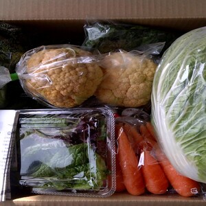 炎のべっぴん野菜セット