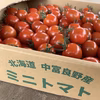高糖度ミニトマト《甘っこ》