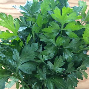 イタリアンパセリ　250g