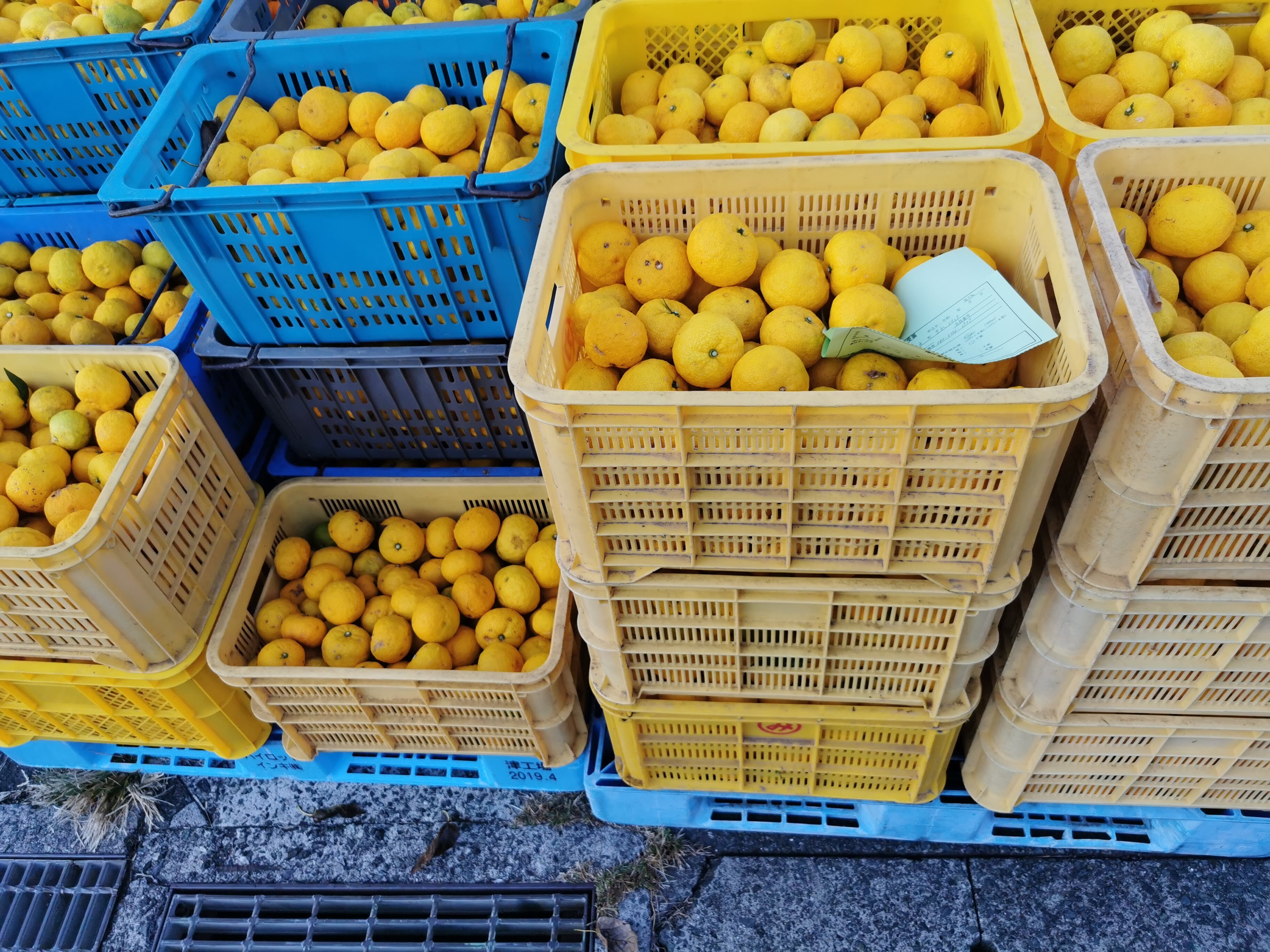 ふれあい農園の柚子果汁 栽培期間農薬不使用無添加 720ml｜ジュースの