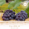P-2 花笑み農園　岡山の『ニューピオーネ』約２kg（３～５房）9/8～発送