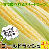 ゴールドラッシュ！12本～15本約4.5㎏朝採り当日発送をお約束します。送料無料