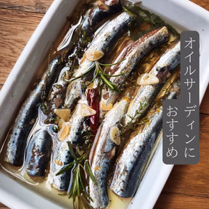 春告イワシ魚醤干し　250g（7尾）×6pc〜　オイルサーディンにも！ハーブ付き