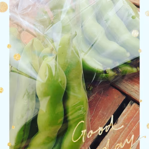 初夏を感じる(*^^*)そらまめ《南房総から》⭐旬はあっという間⭐