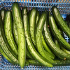 訳あり きゅうりB品 規格外 無選別 朝採り野菜
