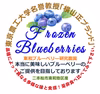 ブルーベリー冷凍果実：ノーザン系　2パック詰め（125gｘ２）