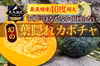【日テレ出演で話題沸騰】女性に大人気！最高糖度40度超【お試し大玉1個】7月予約