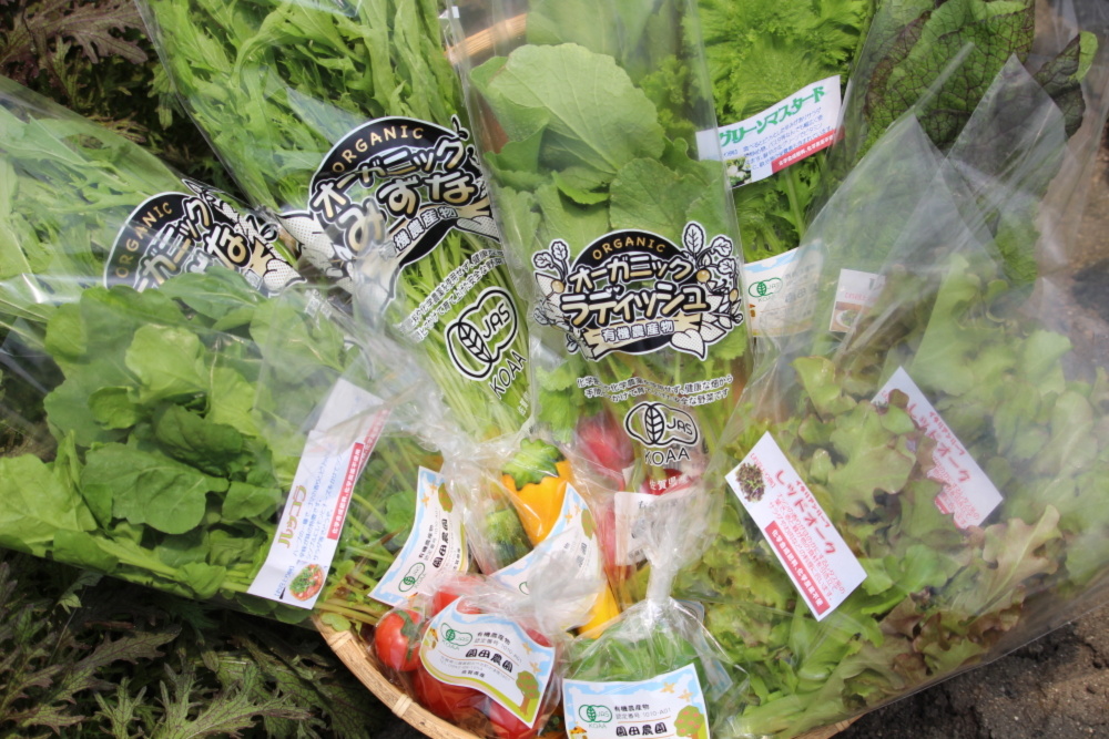 植物性で育てた完全無農薬の葉野菜ブランド 有機葉物野菜セット7品×2