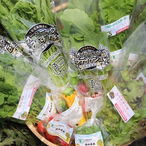 植物性で育てた完全無農薬の葉野菜ブランド　有機葉物野菜セット7品×２　有機JAS