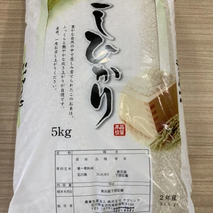 【石川県より直送！コシヒカリ米】5kg（精米）