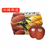 【送料込価格】沖縄県産マンゴー1Kg(2玉～3玉）