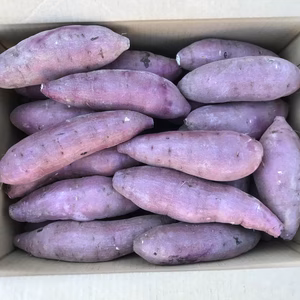 【鹿児島産】甘塩サツマイモ箱込み5キロ^_^