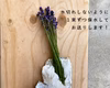 【上富良野産】ラベンダーの生花【200ｇ】インテリアやドライフラワー・ポプリに♪