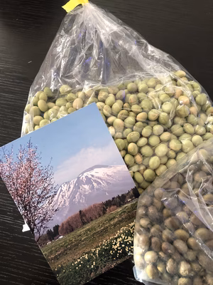 みんなの投稿の画像