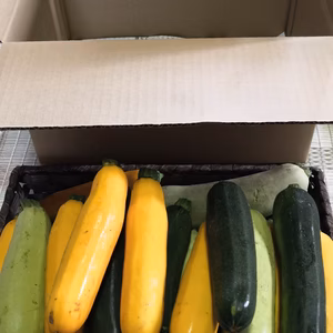 なべくら高原産ズッキーニ詰め合わせセット
