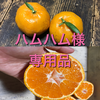 ハムハム☆様専用品　柑子みかん500g＆2L青島みかん4キロセット