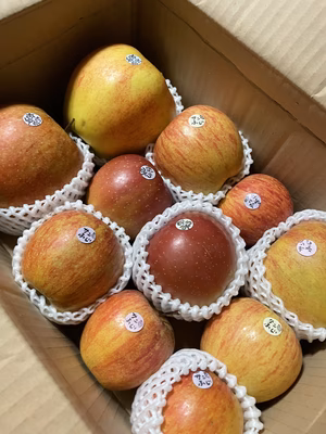 みんなの投稿の画像