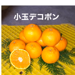酸味がアクセント！小さいデコポみかん