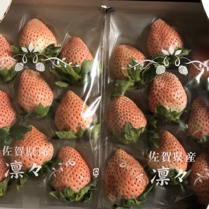 白いちご（240g×2）