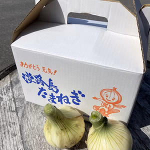 とろ甘新玉ねぎ❗️3kg箱