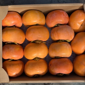 【送料無料】富有柿　訳あり14〜16個入