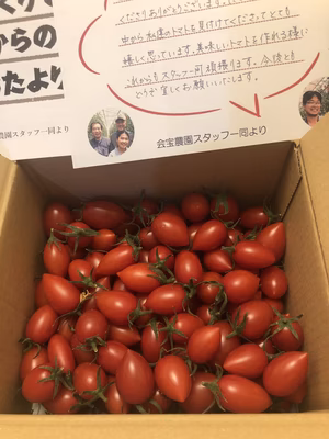 みんなの投稿の画像