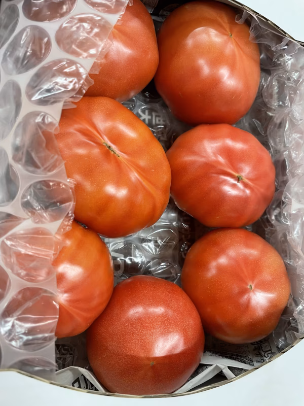 [ご自宅用]食べたらトリコ♡ずっしり新鮮桃太郎とまと