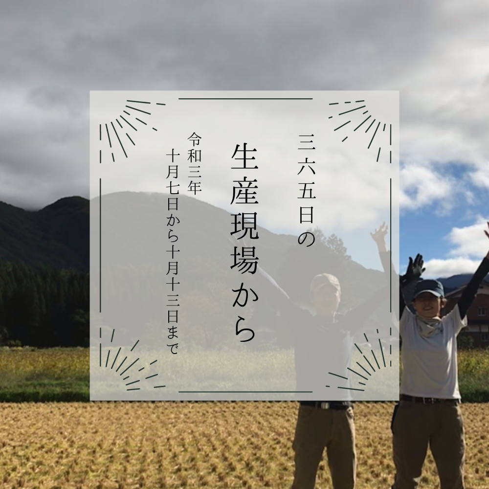 どんどん稲刈り締まっているぞー！>📣今週の31投稿【10月7〜13日の生産