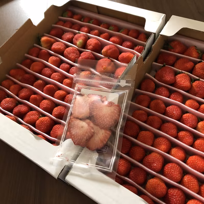 みんなの投稿の画像