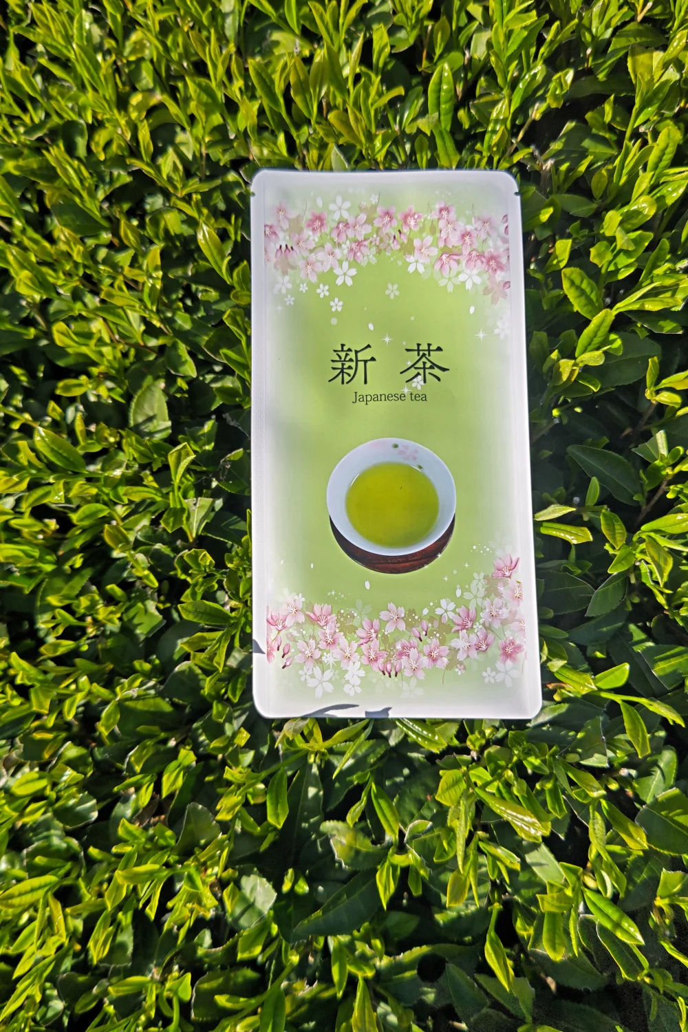鹿児島茶 有機栽培茶 湧水煎茶
