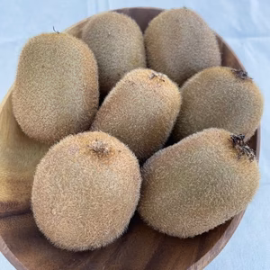 【神奈川・南足柄】無農薬キウイフルーツ18個入り