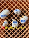 明日発送‼️中小粒500gこだわり強めな乾燥にんにぐ(にんにく)