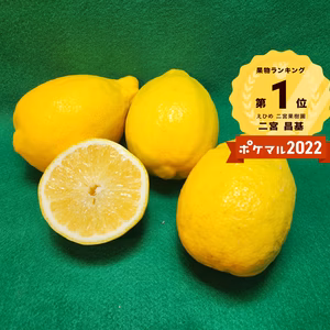 薄皮で種のないレモン　数量限定