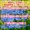 夏秋いちご「すずあかね」１６玉入【ギフト用】