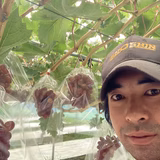 羽柴辰也 | 羽柴果樹園